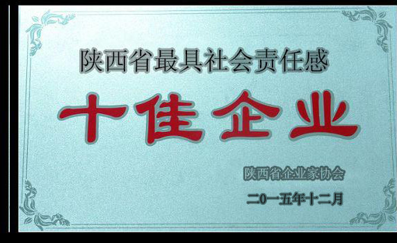 陜西省較具社會(huì )責任感十佳企業(yè)
